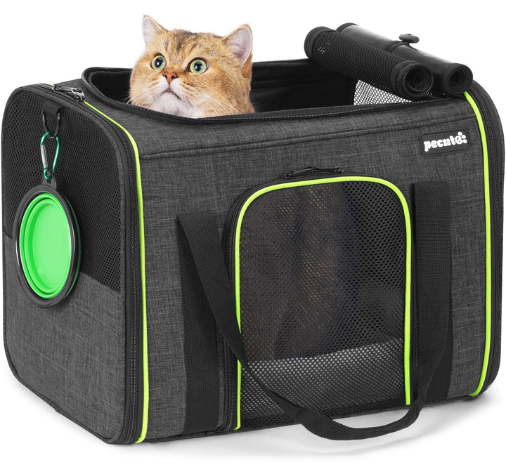 pecute Transportbox Katze,Katzen Transportboxen mit Haustiernest, Faltbare Katzentasche Transporttas