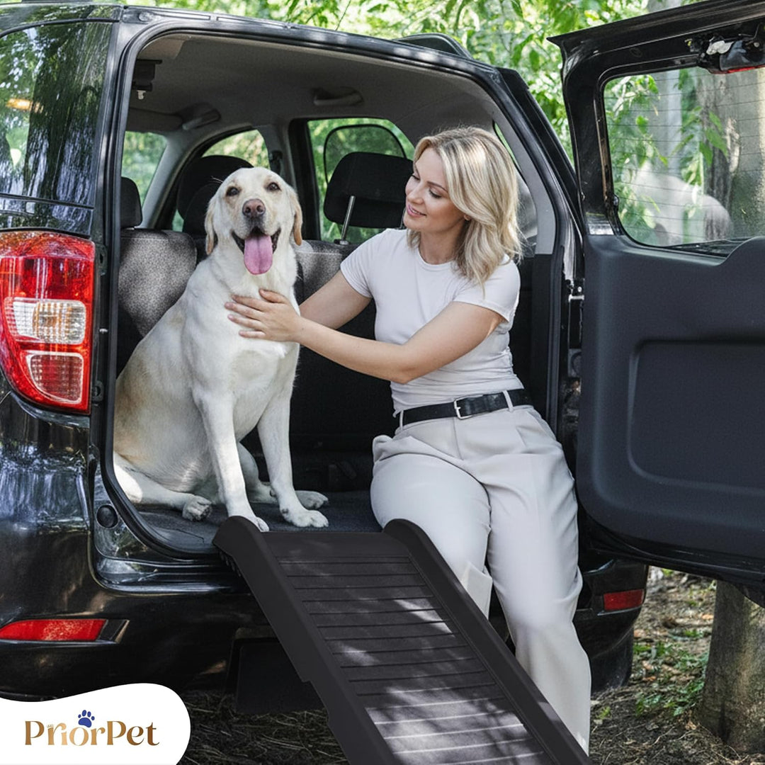 Hunderampe Auto Klappbar – 174 cm Lang & 38 cm Breit – rutschfeste Gummi Rampe für grosse Hunde – St