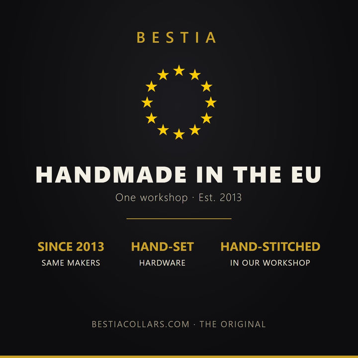 Bestia Maximus Echtleder Hundehalsband für grosse Hunde 100% Leder XL- 57,5 bis 67,5 cm Halsumfang B
