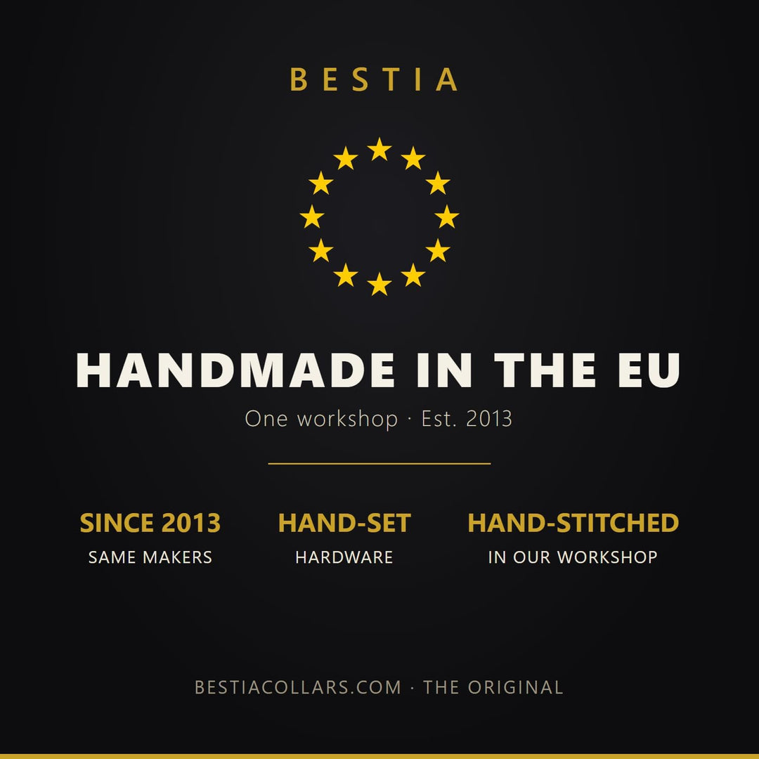 Bestia Maximus Echtleder Hundehalsband für grosse Hunde 100% Leder XL- 57,5 bis 67,5 cm Halsumfang B