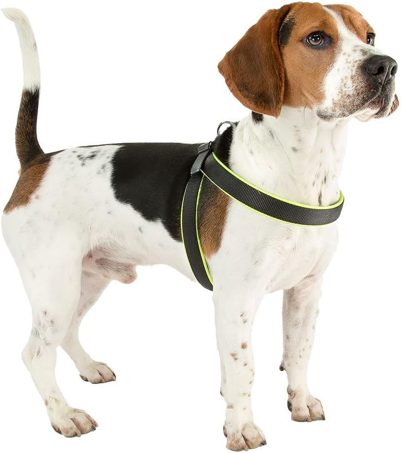 Ferplast Ergonomisches Hundegeschirr AGILA Fluo 3, ausgezeichnete Passform, Kordelzug-Verschluss, we