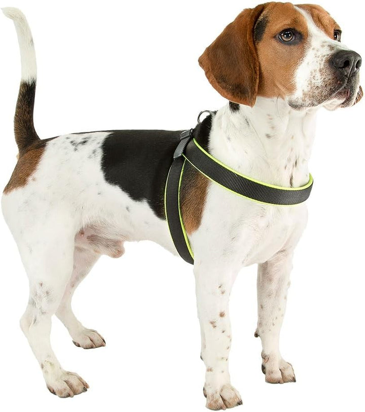 Ferplast Ergonomisches Hundegeschirr AGILA Fluo 3, ausgezeichnete Passform, Kordelzug-Verschluss, we