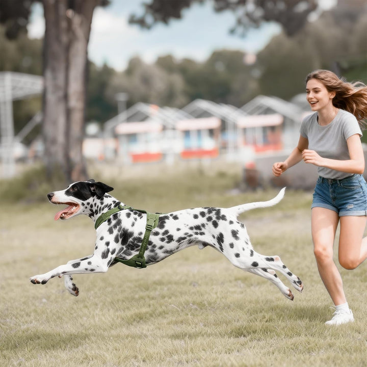 No Pull Hundegeschirr mit weicher Lycra-Polsterung, atmungsaktiver Komfortweste aus Mesh, Verstellba