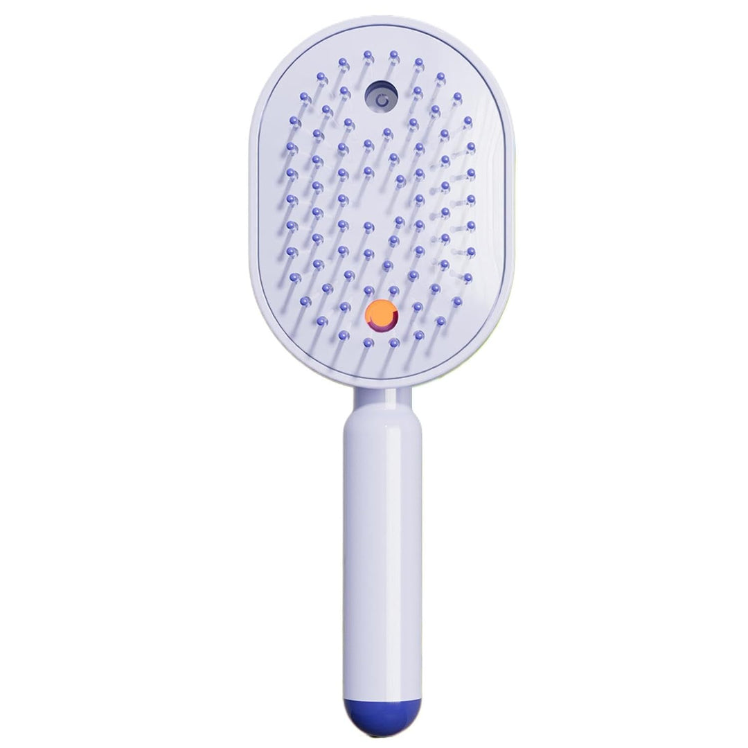 Générique Wasserbürste für Haare, Werkzeug zum Bürsten von Vibration und Nebel, elektrische Bürste m