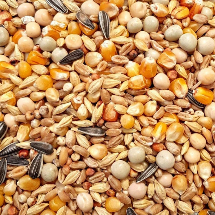 SUPRAVIT Taubenfutter 25kg Basis | nahrhaftes Allroundfutter für Tauben | Klassische Futter Körnermi