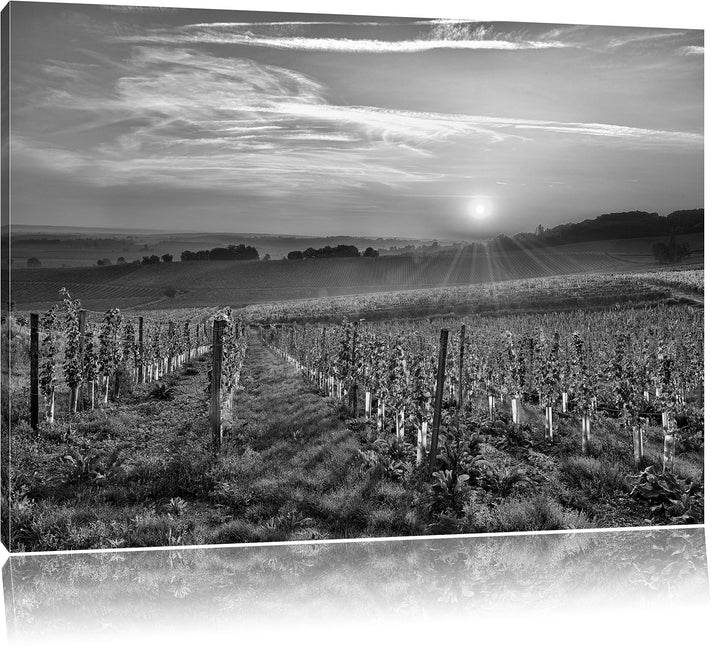 Pixxprint Weinberg in Bergerac Frankreich Kunst B&W, Format: 100x70 auf Leinwand, 100x70