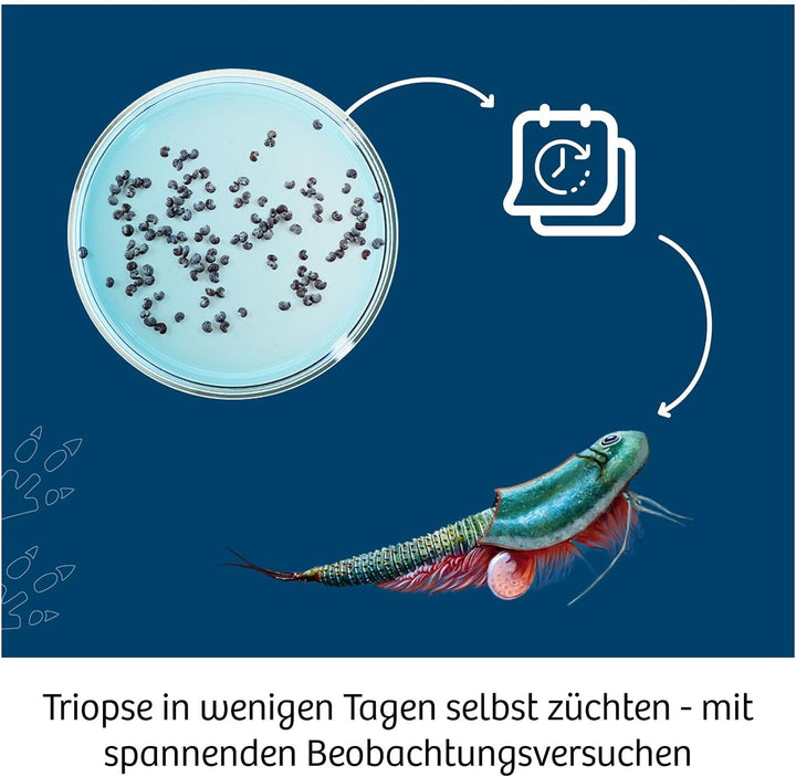 KOSMOS Triops World, Prehistoric Life, Experiment Kit | Explore Prehistoric Crustaceans, Complete Se