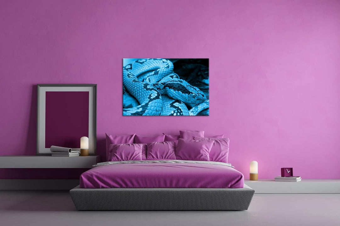 deyoli Grüne Schlange Format 80x60 Effekt: Monocrome Blau als Leinwandbild, Motiv fertig gerahmt auf