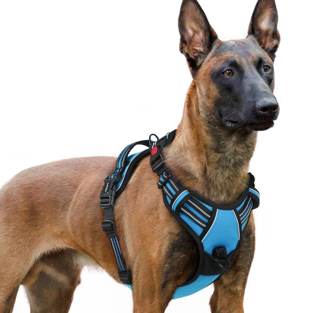 rabbitgoo Hundegeschirr Grosse Hunde, Verstellbare Geschirr Hund ohne Zug &amp; Würgen, Anti Zug Hundege