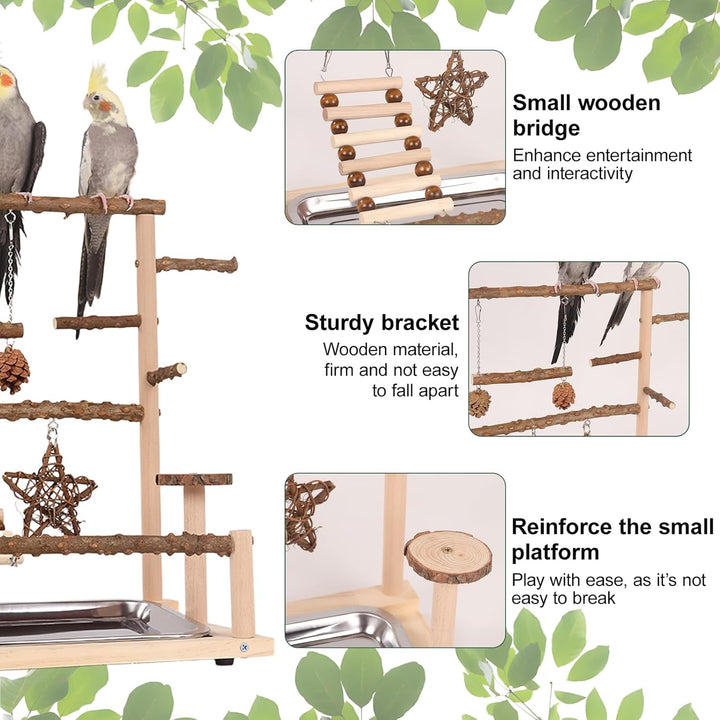 Vogelspielplatz Wellensittich Spielplatz Spielzeug, Grosser vogel Spielplatz mit Schaukel Sitzstange