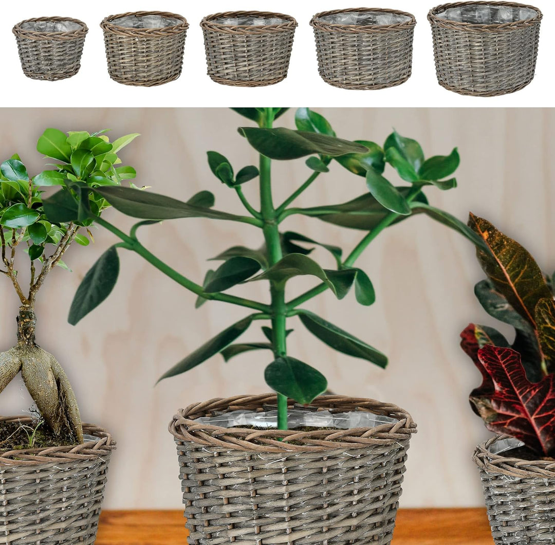 Cepewa Pflanzkorb 5er Set │ Kunstofffolien-Inlay Rattan 5 Grössen│ Übertopf Körbe Korbset Pflanztopf