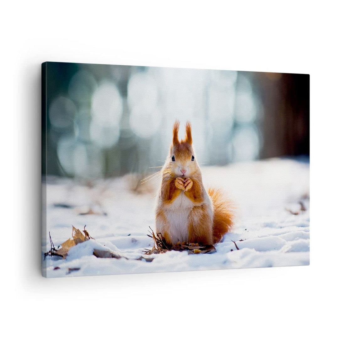 Bilder auf Leinwand Eichhörnchen Winter Schnee Essen Leinwandbild 70x50cm Wandbilder Dekoration Wohn