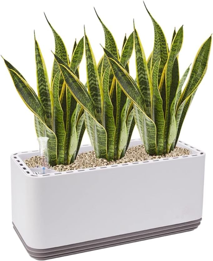 AIRY System L inkl. 3 Bogenhanfe & Airy Base Substrat • Natürlicher Luftreiniger eliminiert Schadsto