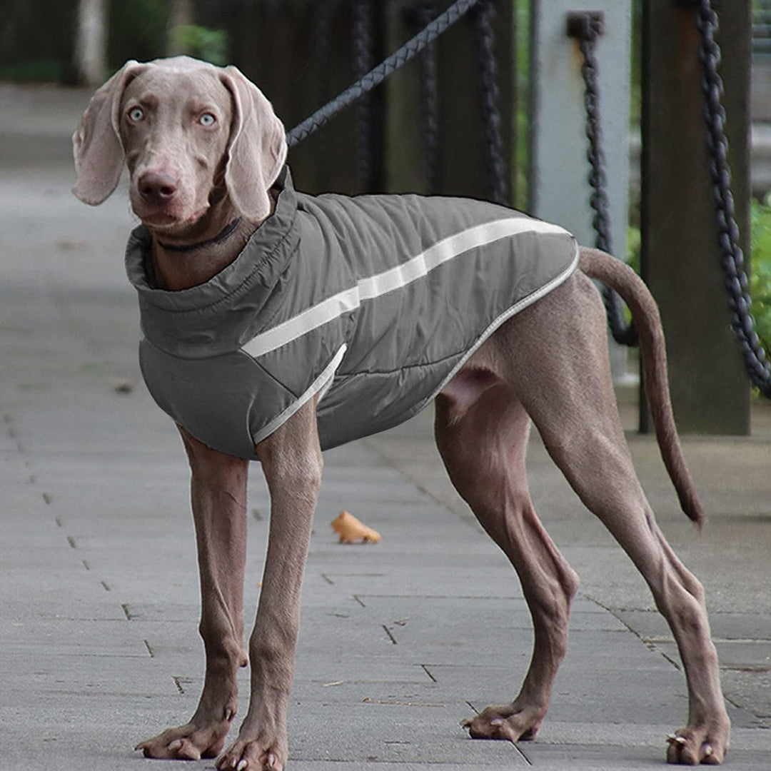 Idepet Wasserdichter Hundemantel Winter Warme Jacke, Winddichte Haustierkleidung Hundejacke Outfit f