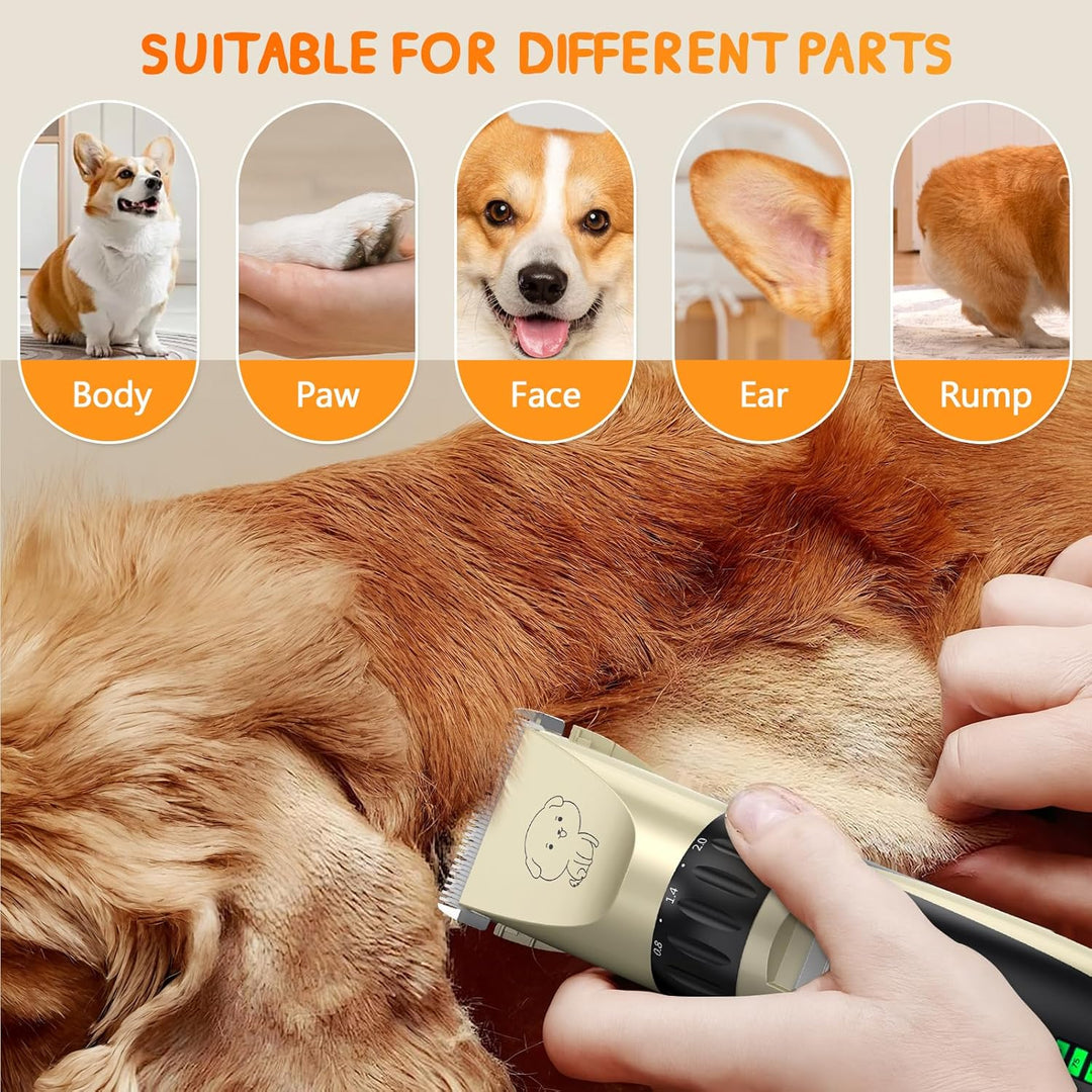 Profi Leise Hundeschermaschine, Schermaschine Hund Katze, tierhaarschneidemaschine set mit 4 Schneid