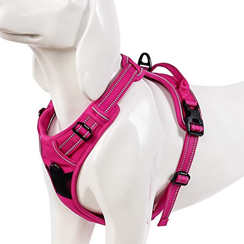 WINHYEPET Truelove Hundegeschirr No-Pull Reflektierendes verstellbar Haustiergeschirr mit 2 Leinencl