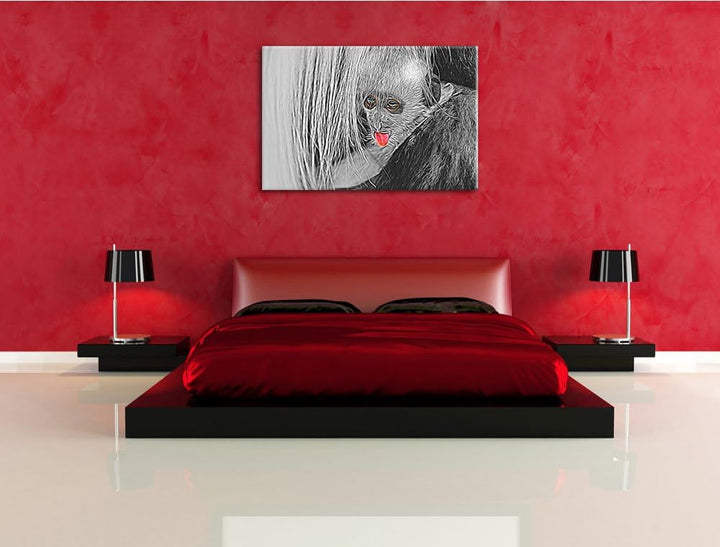 bildschönes Colobus-Äffchen schwarz/weiss Deluxe Format: 100x70 cm auf Leinwand, XXL riesige Bilder