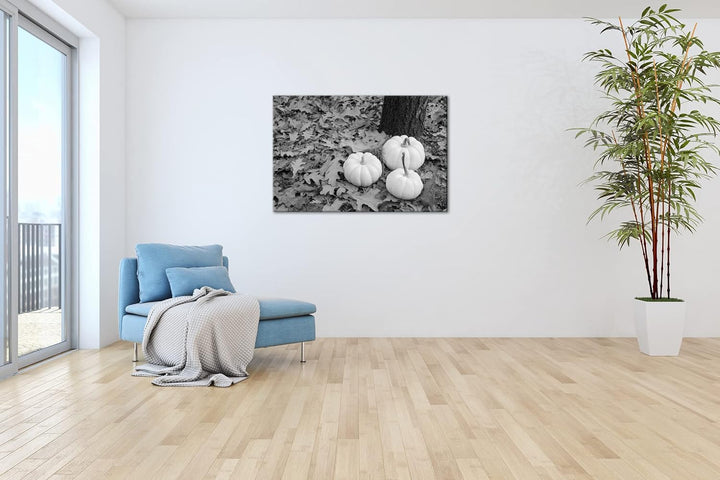 deyoli frische Kürbise Effekt: Schwarz&Weiss Format: 120x80 als Leinwandbild, Motiv fertig gerahmt a