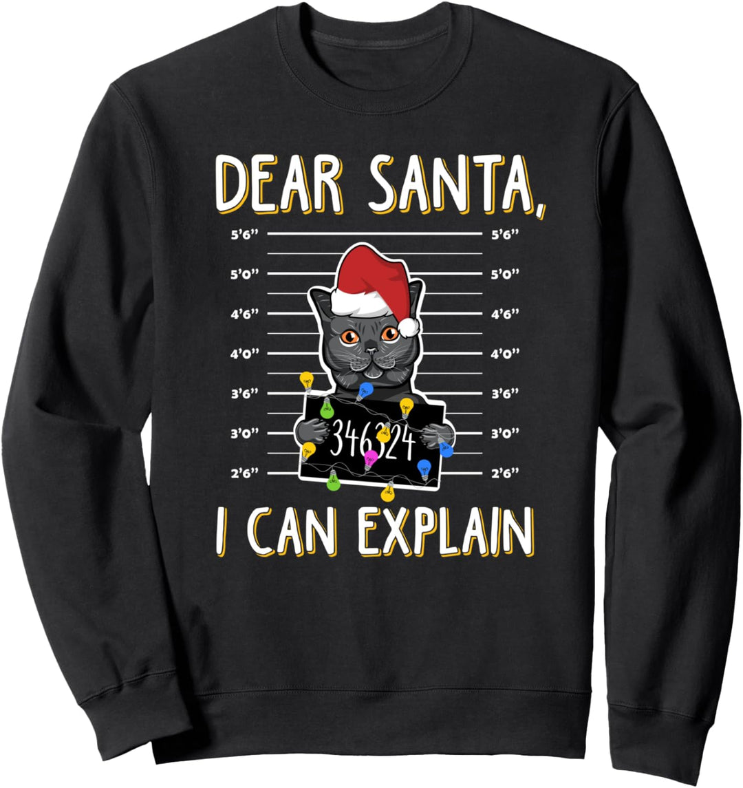 Dear Santa I Can Explain Funny Cat Ugly Christmas Sweatshirt