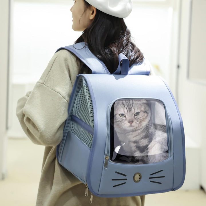 Haustier Rucksack für Kleine Hunde Katzen, Tragbare und Faltbare Katzenrucksack, Hunderucksack, Trag