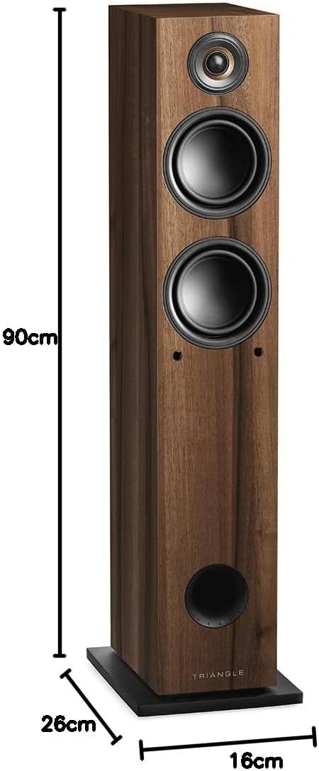 TRIANGLE - Aktivlautsprecher LN05A - Bluetooth Standlautsprecher mit Verstärker 2 x 80W - HD Audio -