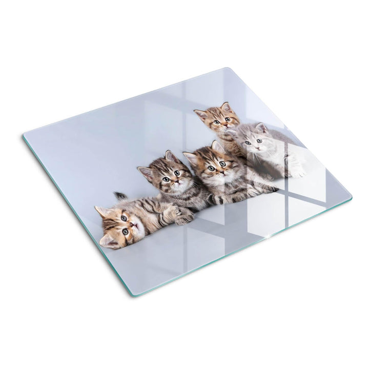 Schneidebretter Glas 60x52 cm Hitzebeständig Gehärtetes Glas Rutschfest Silikonfüsse Plastikfrei Leb