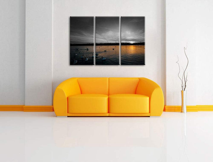 Weisse Schwäne im Sonnenuntergang schwarz/weiss 3-Teiler Leinwandbild 120x80 Bild auf Leinwand, XXL