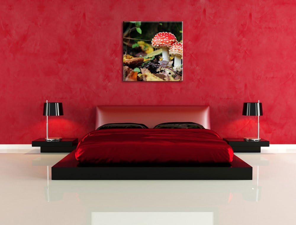 Pixxprint Pilz im Wald, Format: 70x70 auf Leinwand, XXL riesige Bilder fertig gerahmt mit Keilrahmen