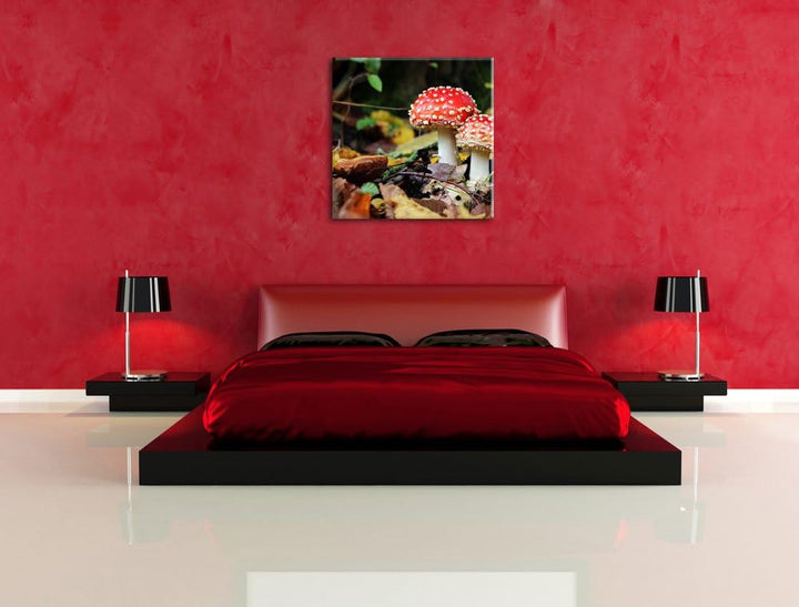 Pixxprint Pilz im Wald, Format: 70x70 auf Leinwand, XXL riesige Bilder fertig gerahmt mit Keilrahmen