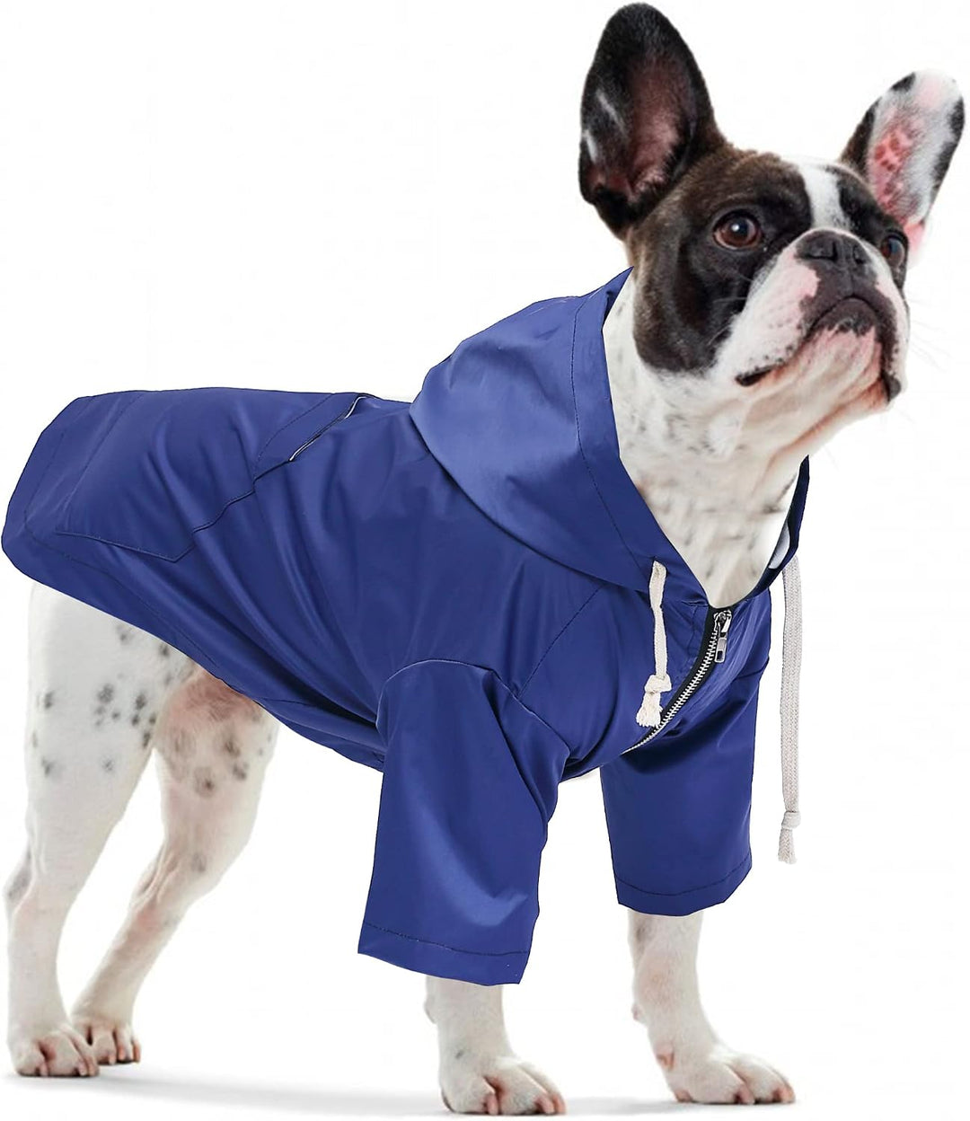 Pethiy Premium hunderegenmantel,Wasserdicht Hundemantel mit Kapuze Hundebekleidung Hunde Regenjacken