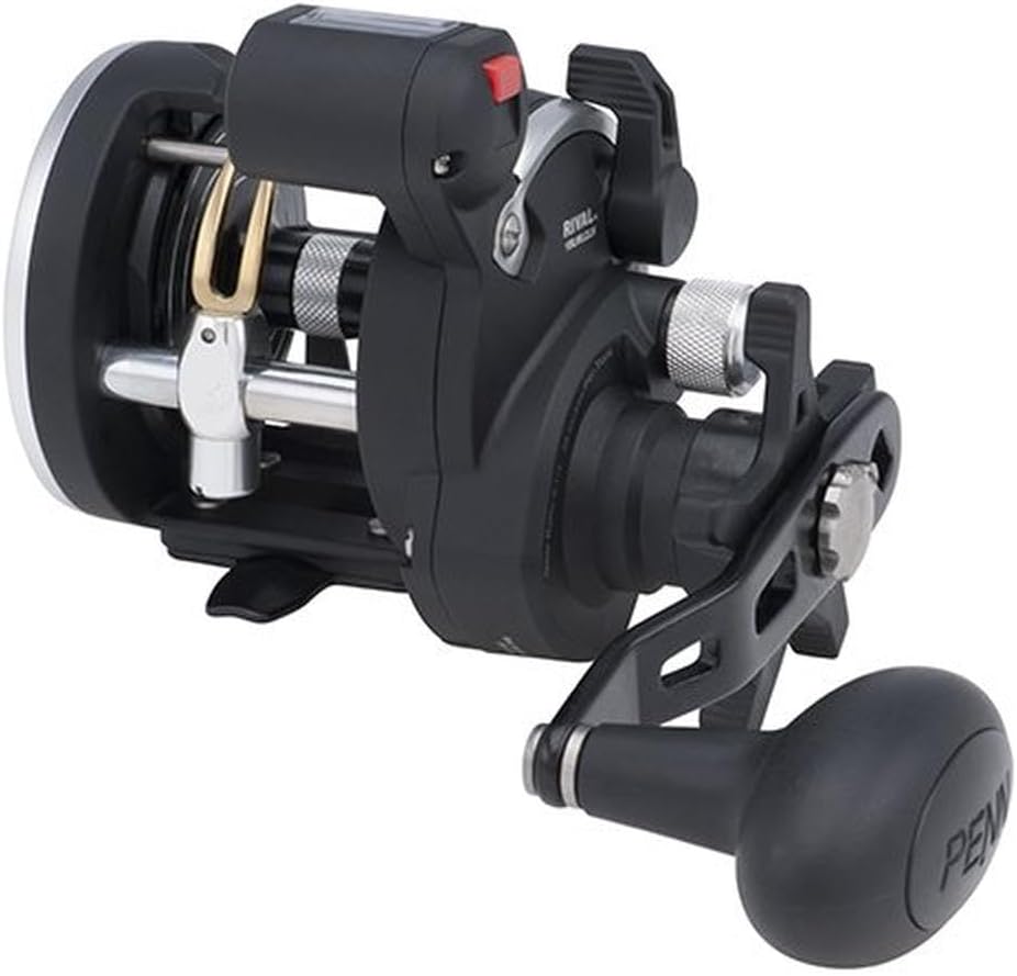 PENN Rival Level Wind Multirolle für Boote und Kajaks – Hochleistungs-Salzwasserrolle für Dorsch, Ba