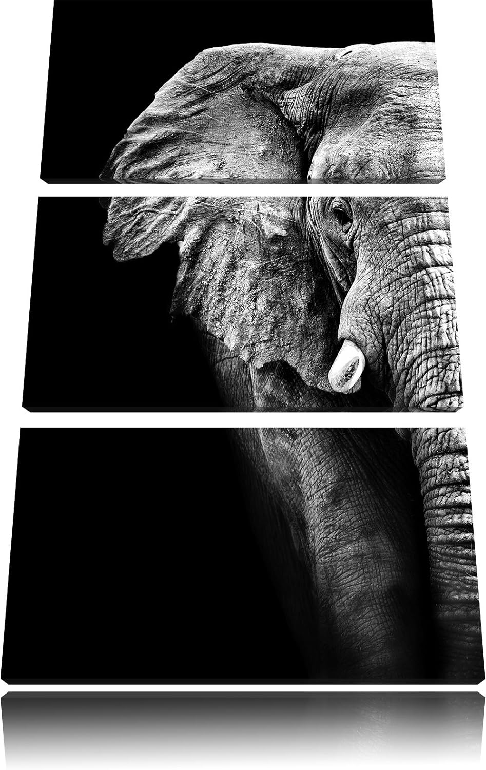Pixxprint Elefant Porträt als Leinwandbild/Grösse: 3 Teilig (120x80) cm/Wandbild/Kunstdruck/fertig b