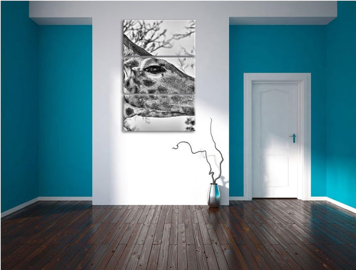 Pixxprint anmutige Giraffe isst als Leinwandbild/Grösse: 3 Teilig (120x80) cm/Wandbild/Kunstdruck/fe