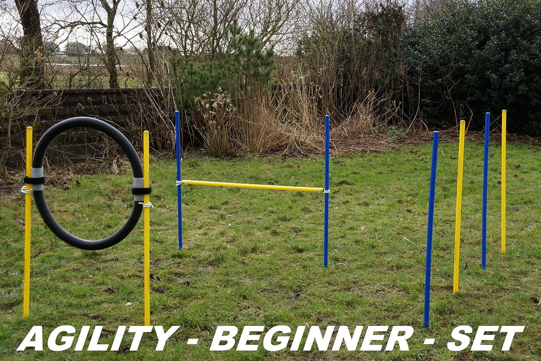 Agility-Beginner-Set BLAU/GELB