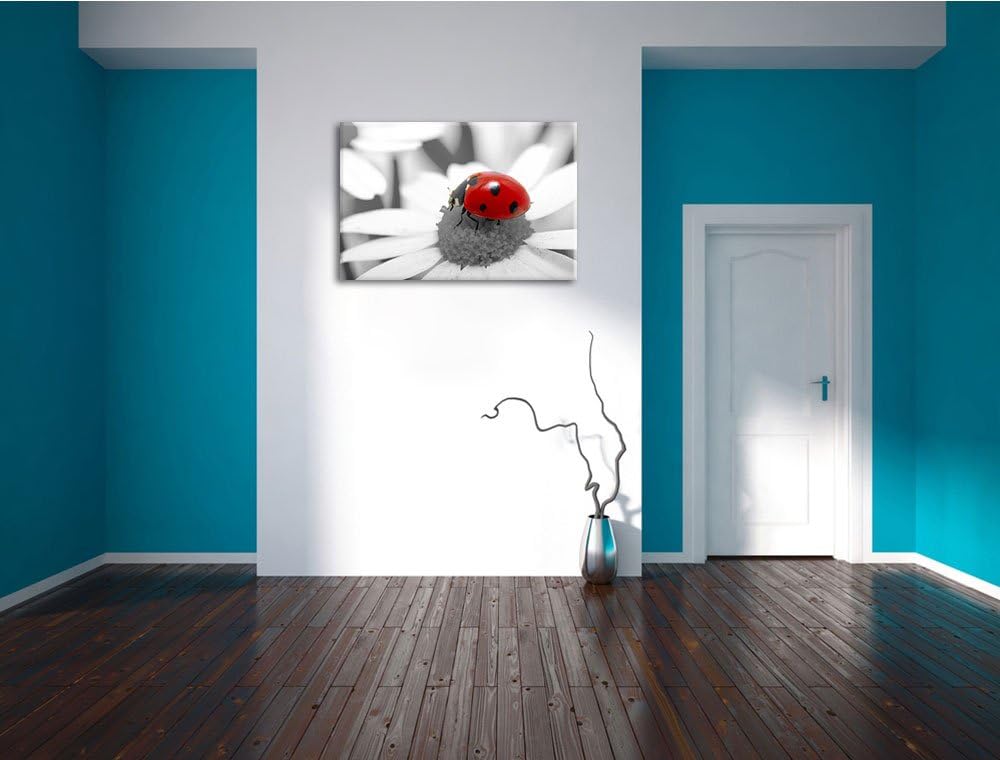 süsser Marienkäfer auf Gänseblume schwarz/weiss Format: 100x70 auf Leinwand, XXL riesige Bilder fert