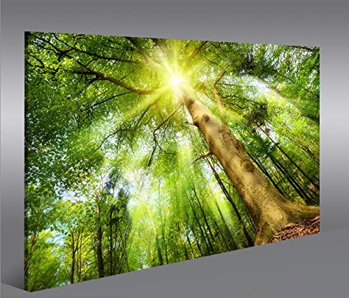 islandburner Bild Bilder auf Leinwand Leuchtender Wald Sonne Bäume 1p XXL Poster Leinwandbild Wandbi