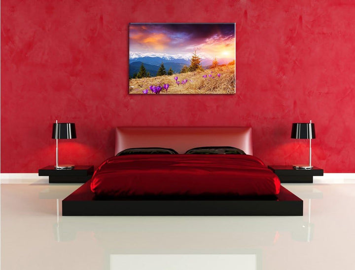 Krokusse auf Hochalmwiese in Alpen Format: 100x70 auf Leinwand, XXL riesige Bilder fertig gerahmt mi