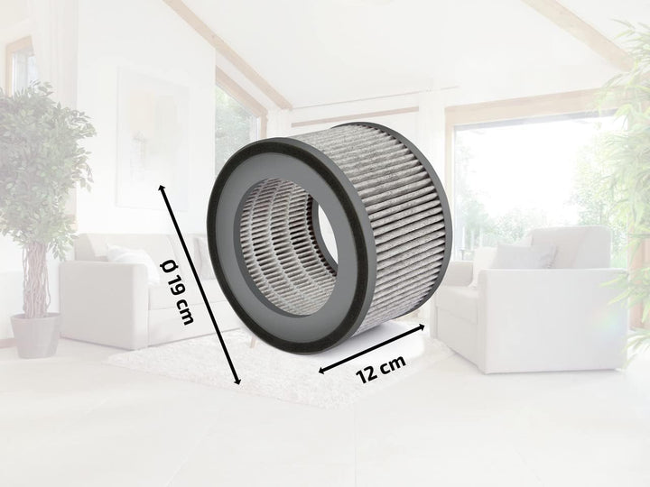 Soehnle Ersatzfilter kompatibel mit Luftreiniger Airfresh Clean 400 für saubere Luft, Kombifilter, a