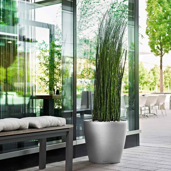 LECHUZA CLASSICO Premium LS 35 anthrazit metallic 16063 36x36x32.5 cm Anthrazit Metallic Einzel, 36x