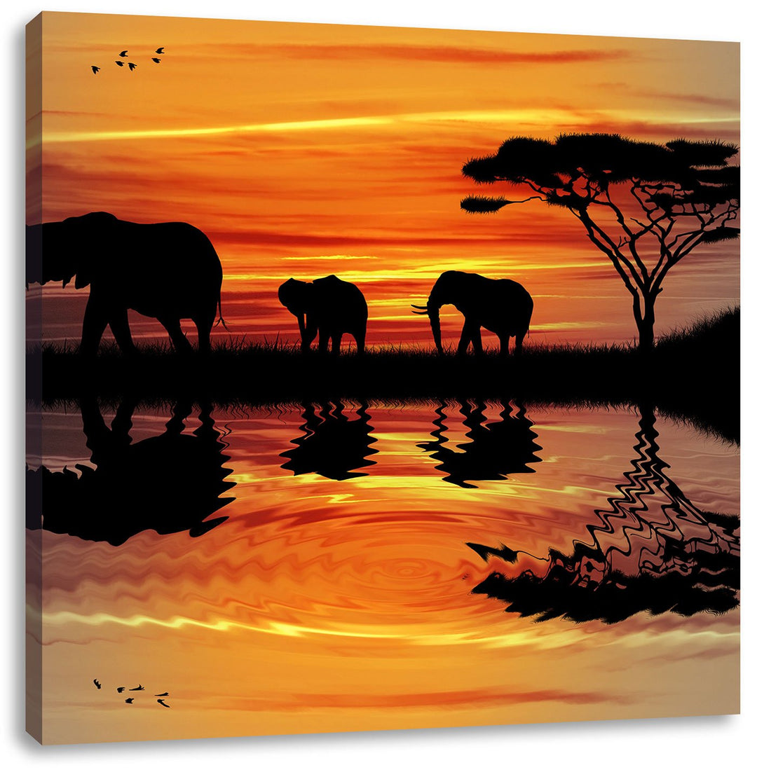 Pixxprint Afrika Elefant in Sonnenschein schwarz/weiss, Format: 70x70 auf Leinwand, 70x70
