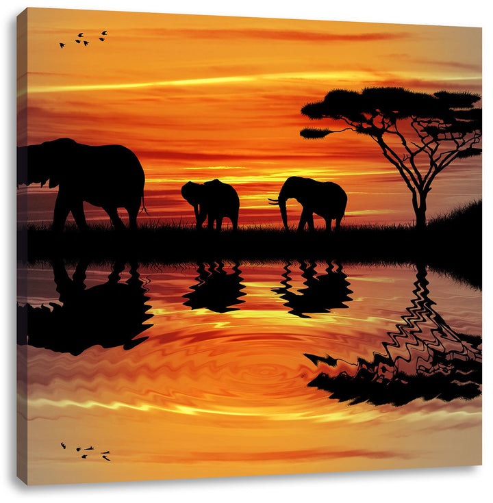 Pixxprint Afrika Elefant in Sonnenschein schwarz/weiss, Format: 70x70 auf Leinwand, 70x70