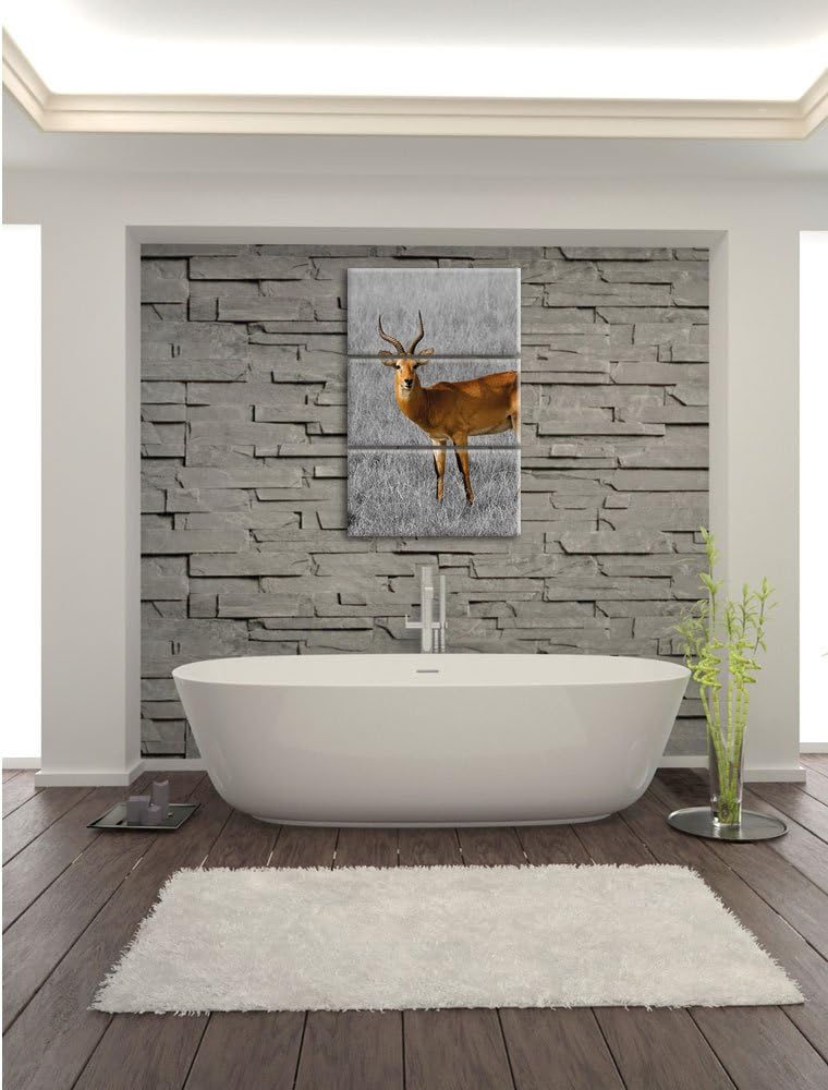 Pixxprint Dorkasgazelle im trockenen Gras als Leinwandbild/Grösse: 3 Teilig (120x80) cm/Wandbild/Kun