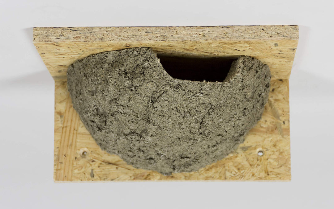 Mehlschwalbennest mit Einflug rechts, Schwalbennest, Nistkasten, Nisthilfe, Mehlschwalbennester