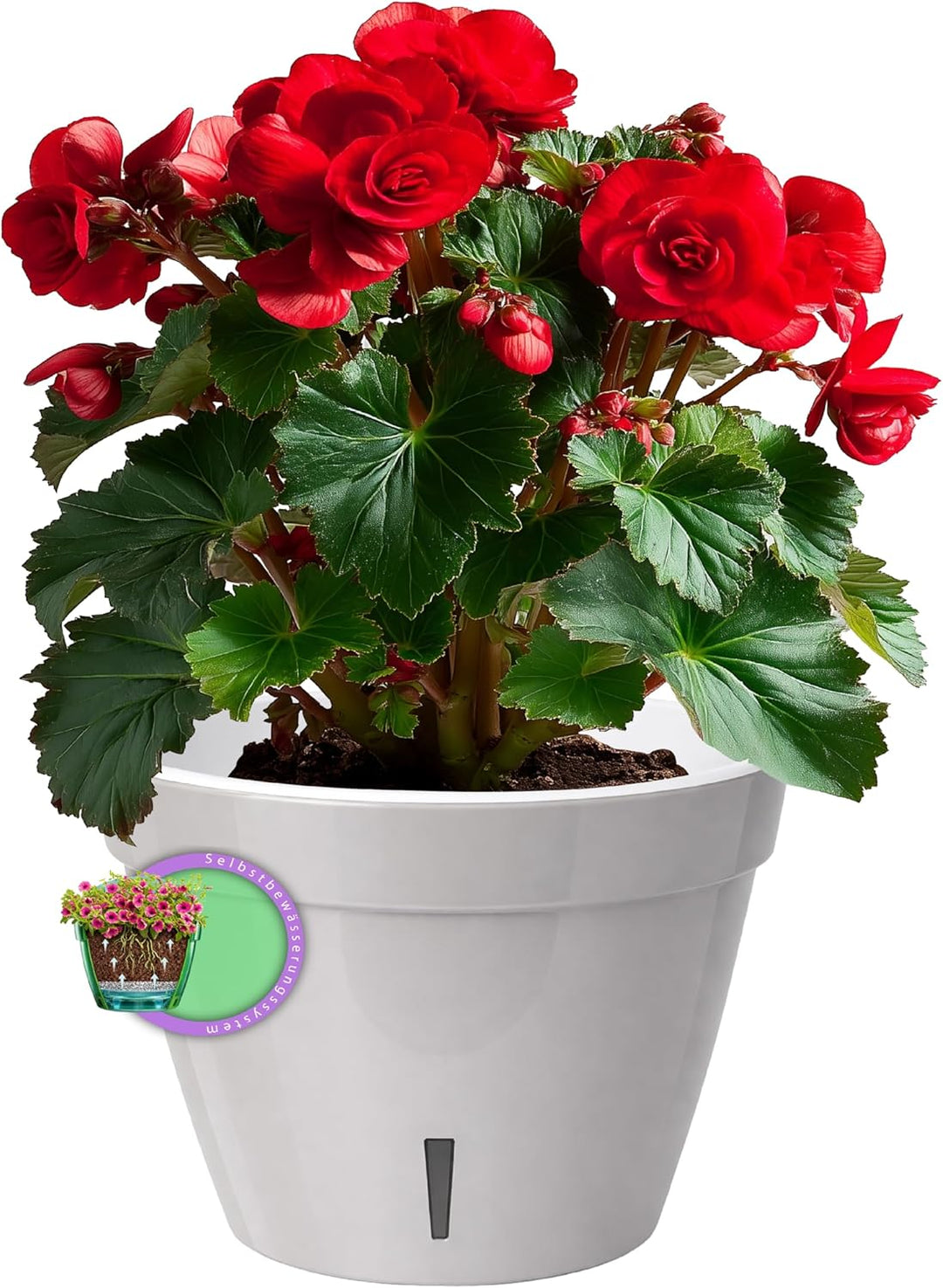 Santino ASTI 3er Set 23CM Selbstwässernder Blumentopf mit Wasserstandsanzeiger - Rund Premium Qualit
