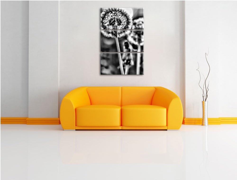 Pixxprint Pusteblume als Leinwandbild/Grösse: 3 Teilig (120x80) cm/Wandbild/Kunstdruck/fertig bespan