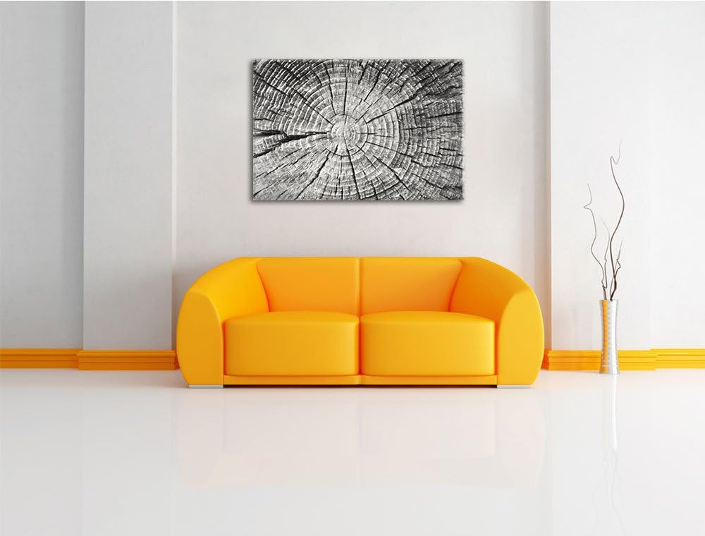 Baumstamm mit Jahresringen Deluxe Format: 100x70 cm auf Leinwand, XXL riesige Bilder fertig gerahmt