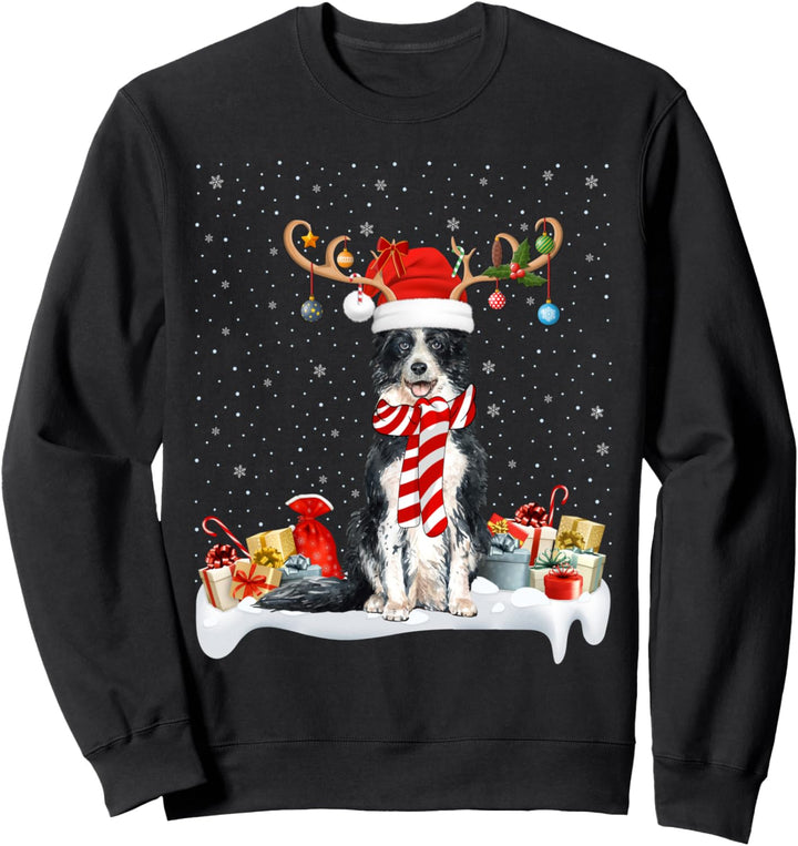 Weihnachtsbeleuchtung Rentiermütze mit Borte Collie Weihnachten Sweatshirt