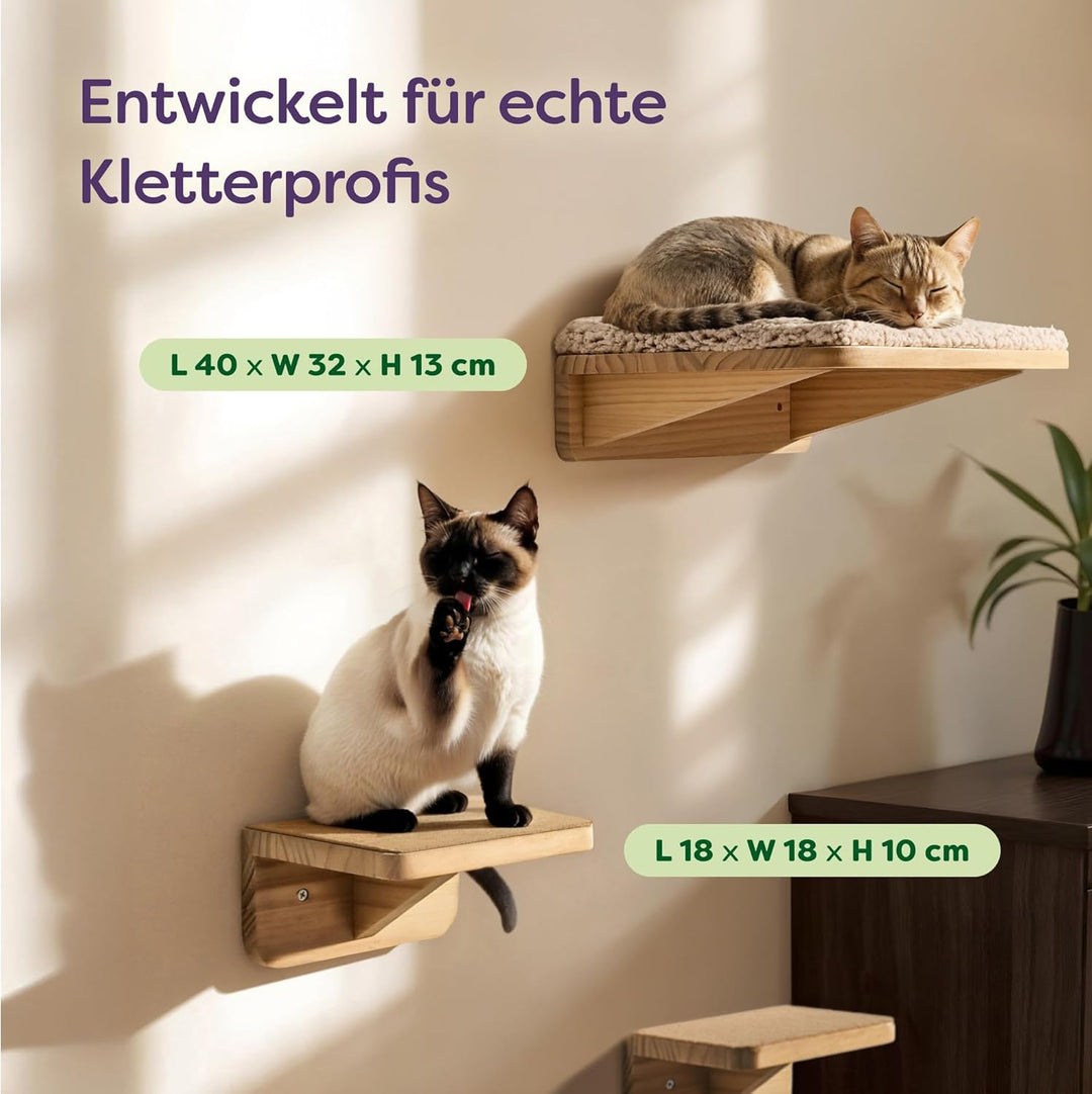 Katzen Kletterwand Set mit Katzenbett & 2X Katzentreppe – Massives FSC® Kiefernholz, Stabile Wandlie