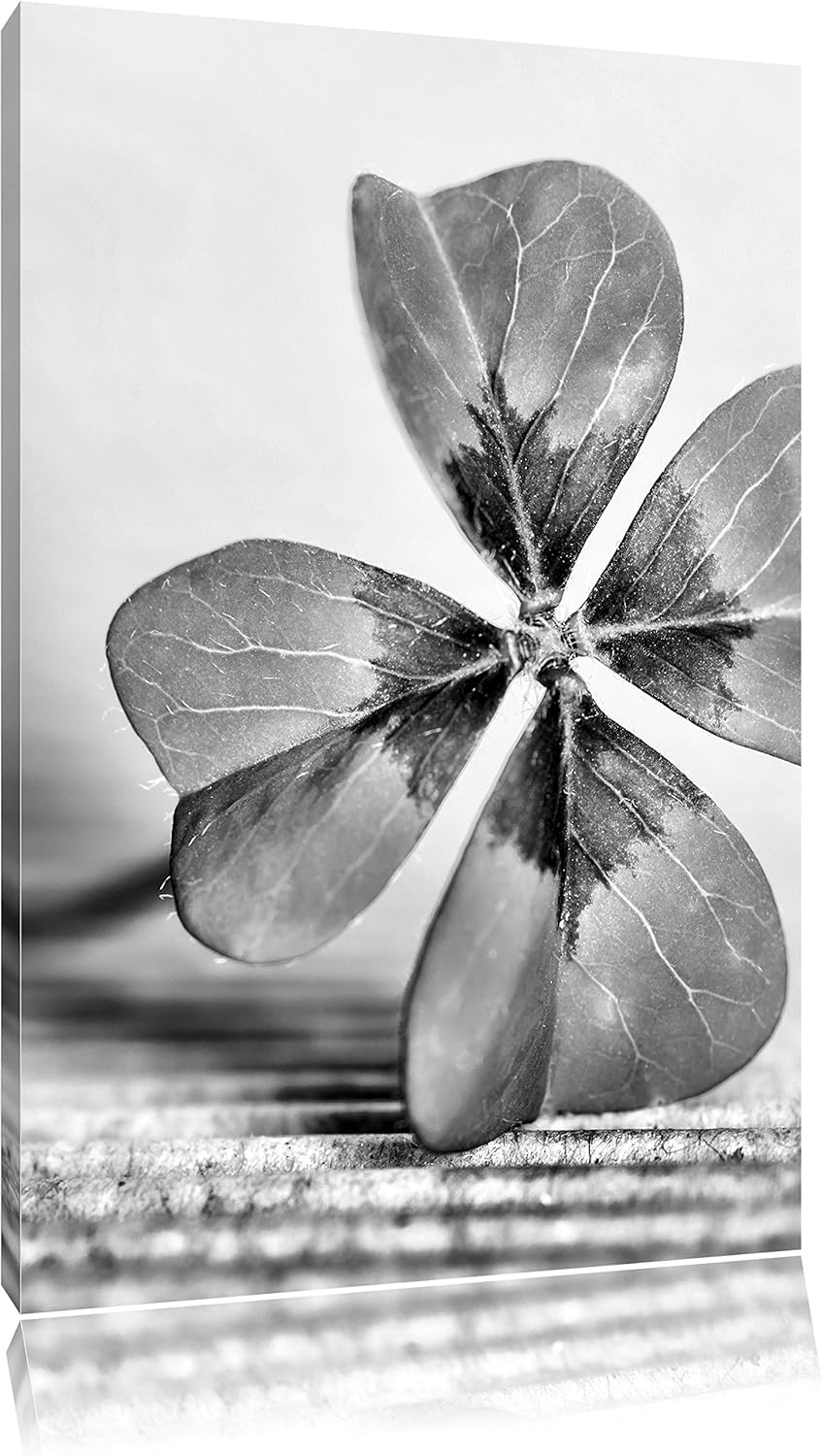 Pixxprint Glücks Kleeblatt mit 4 Blättern als Leinwandbild/Grösse: 100x70 / Wandbild/Kunstdruck/fert