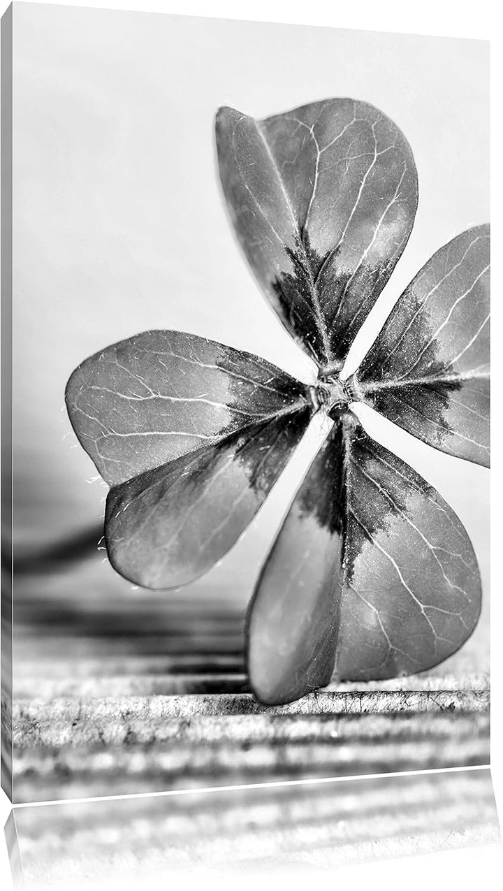 Pixxprint Glücks Kleeblatt mit 4 Blättern als Leinwandbild/Grösse: 100x70 / Wandbild/Kunstdruck/fert